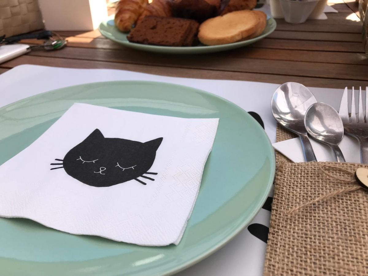 Il Gatto Stanco Arona